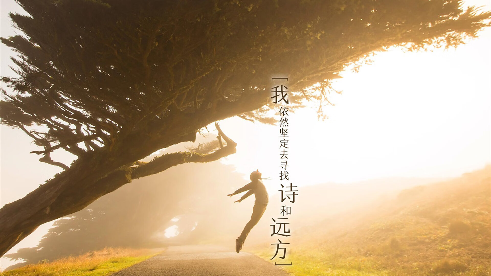 “法甲最后攻坚战：豪门拼抢冠军，悬念不断”，法甲的豪门