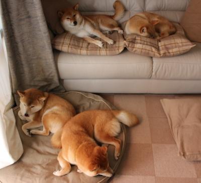 爱游戏-“青春之光”青少年篮球明星百名选拔在广州火热进行，发掘新一代冠军