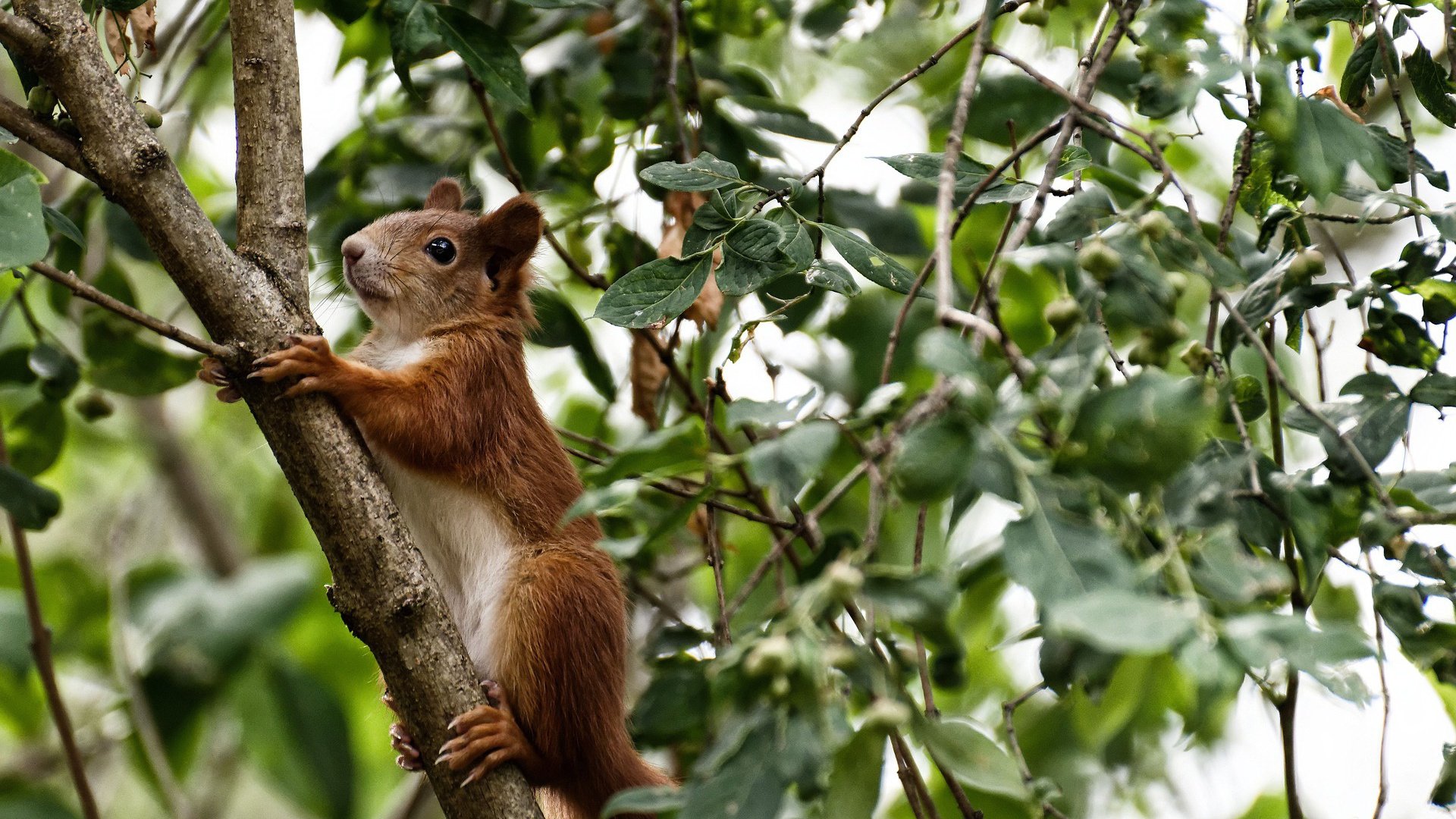 《《绝地求生》加入新防御系统,战术变化丰富》,绝地求生新玩法