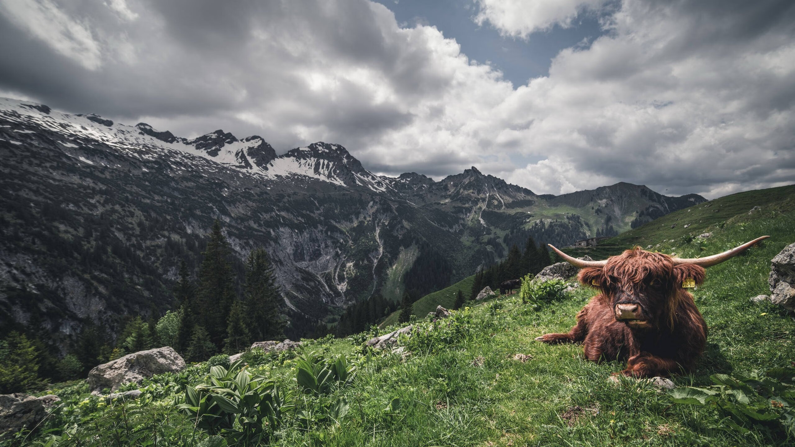 《绝地求生》赛事观众职业分布:学生、白领与自由职业者的电竞参与