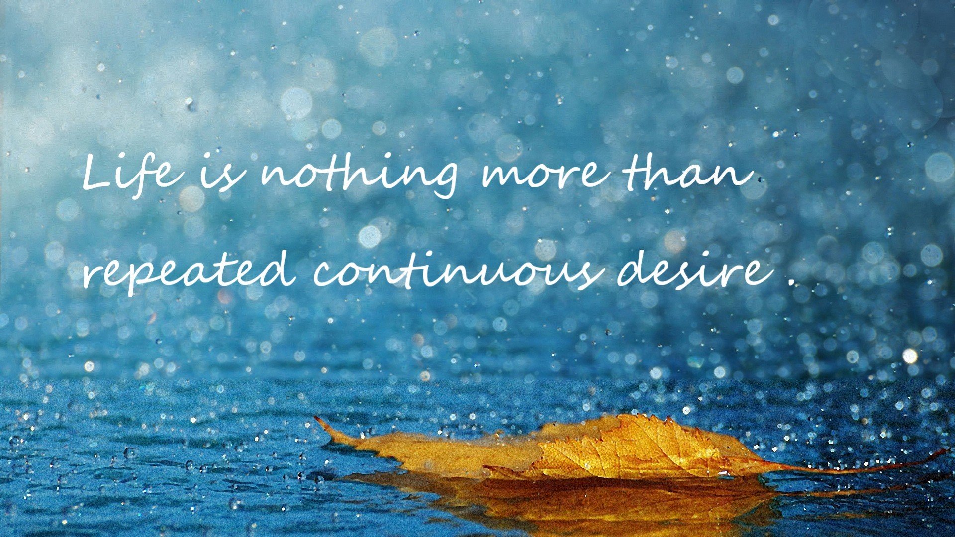 中国篮球青训体系改革,助推竞技水平提升,中国篮球青训体系改革,助推竞技水平提升