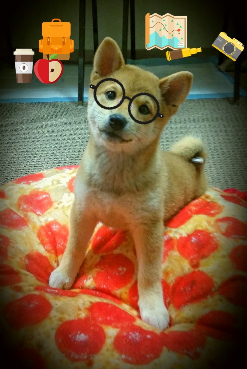 -今年联盟三分命中率排名前十的队伍都有哪些亮点？，联盟第一三分命中率