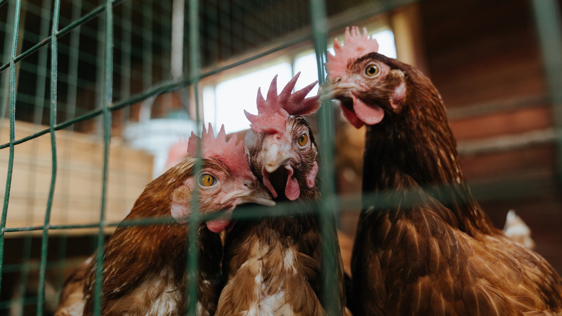 爱游戏-太空狼人杀全球锦标赛全面启动，推理PK震撼登场