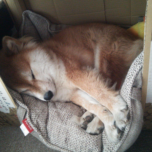 库里:用一场场绝妙的投篮改变了NBA的战术格局!,库里投篮分析视频