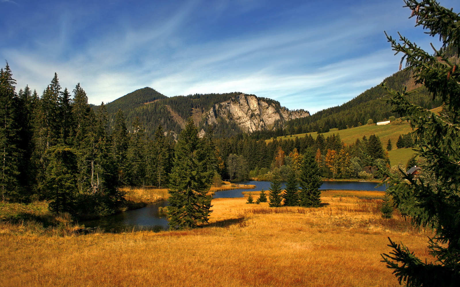 爱游戏体育app-赛季终极对决预测：冠军争夺的最终战光芒四射，王者终极对决