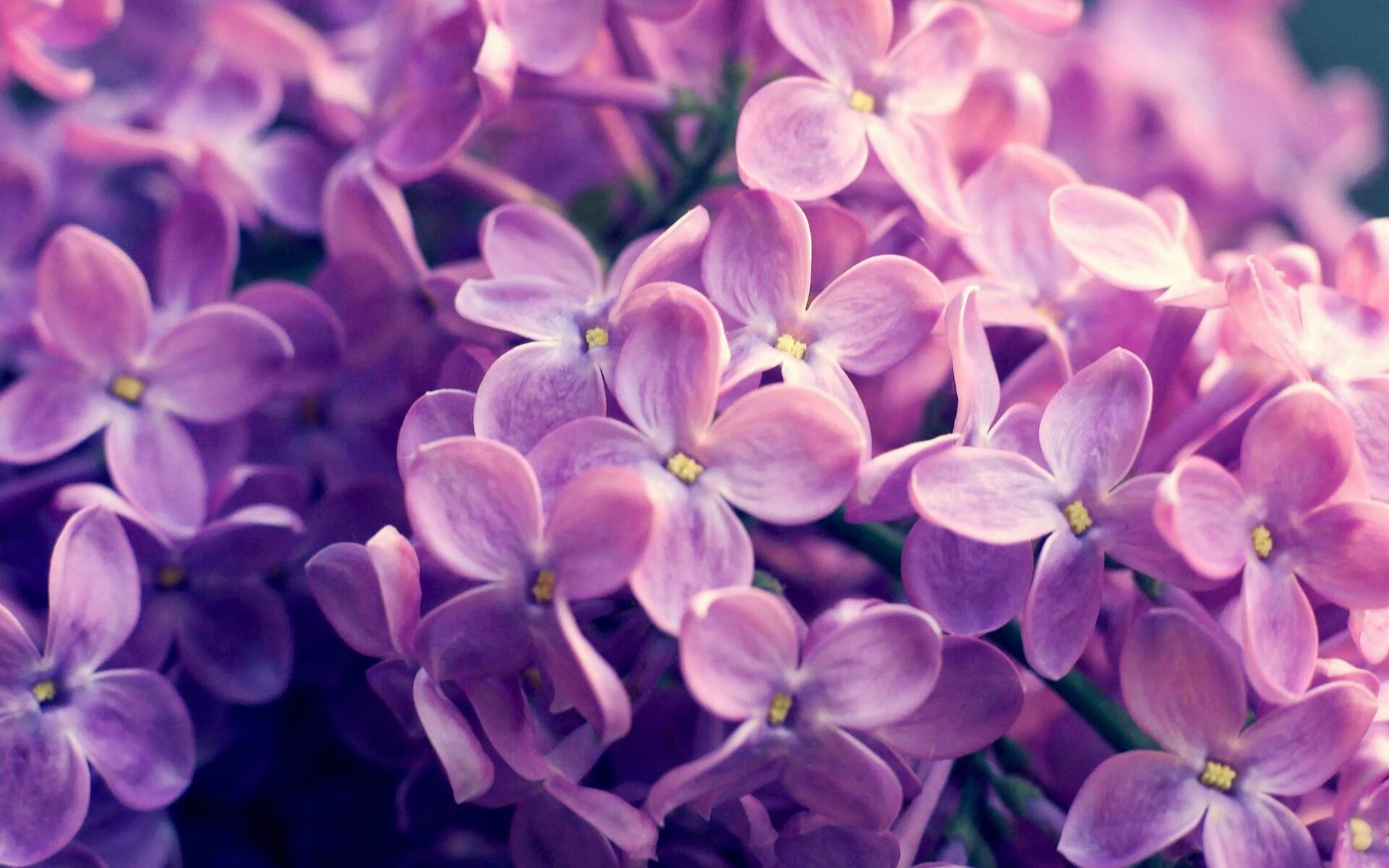 上海久事外援表现持续出色,上海久事为什么有外援