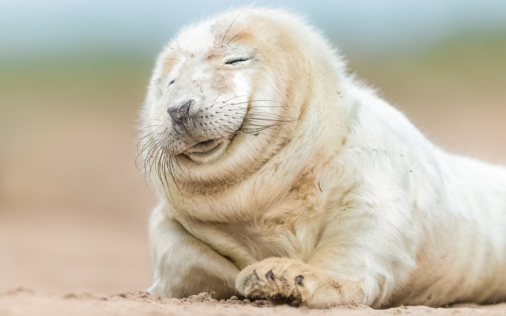 公牛击败勇士，东部决赛中德罗赞锁死对手，公牛vs骑士罗斯