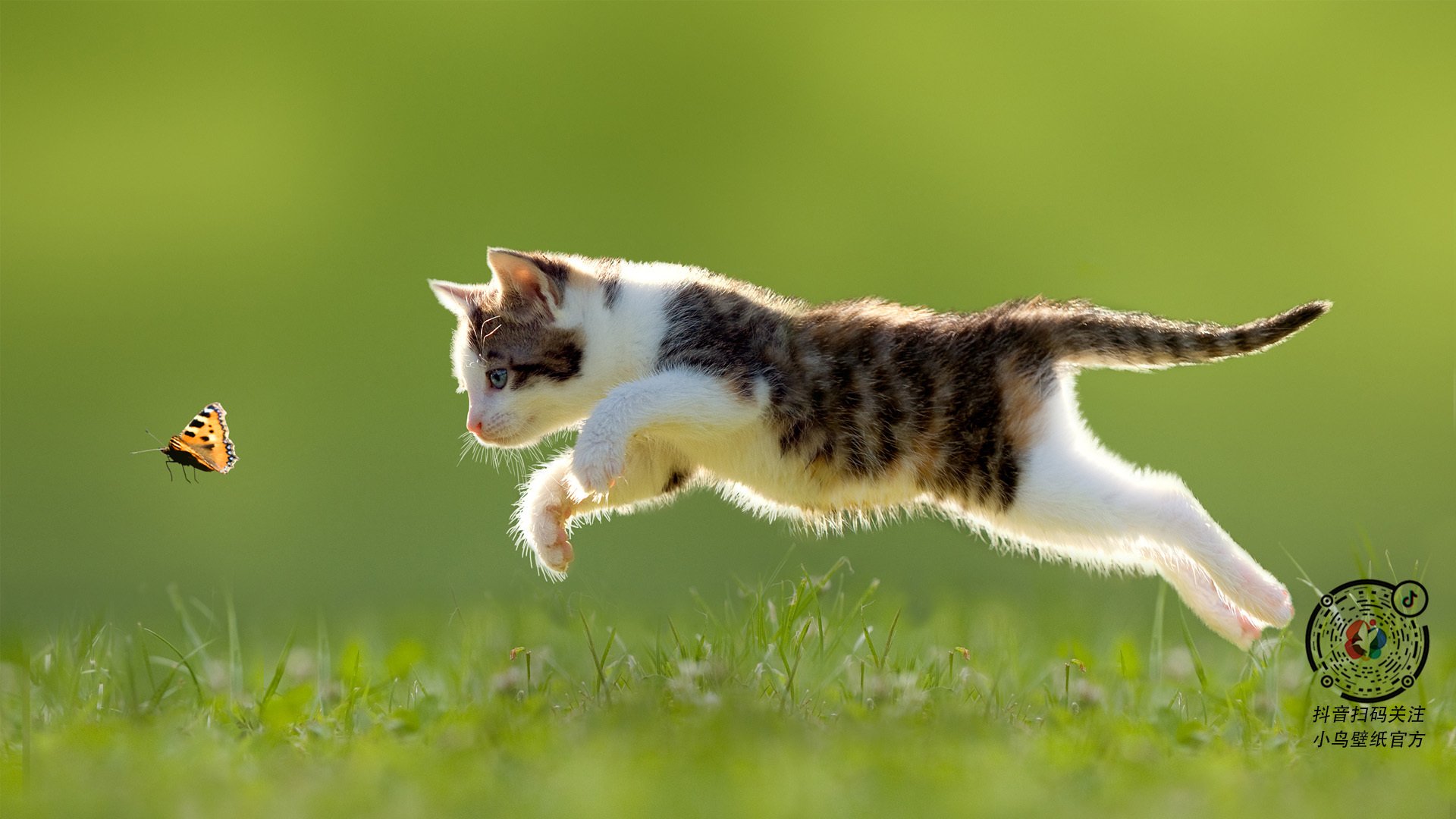 勒阿弗尔队获得宝贵胜利，提升排名，勒阿弗尔对克莱蒙比分预测