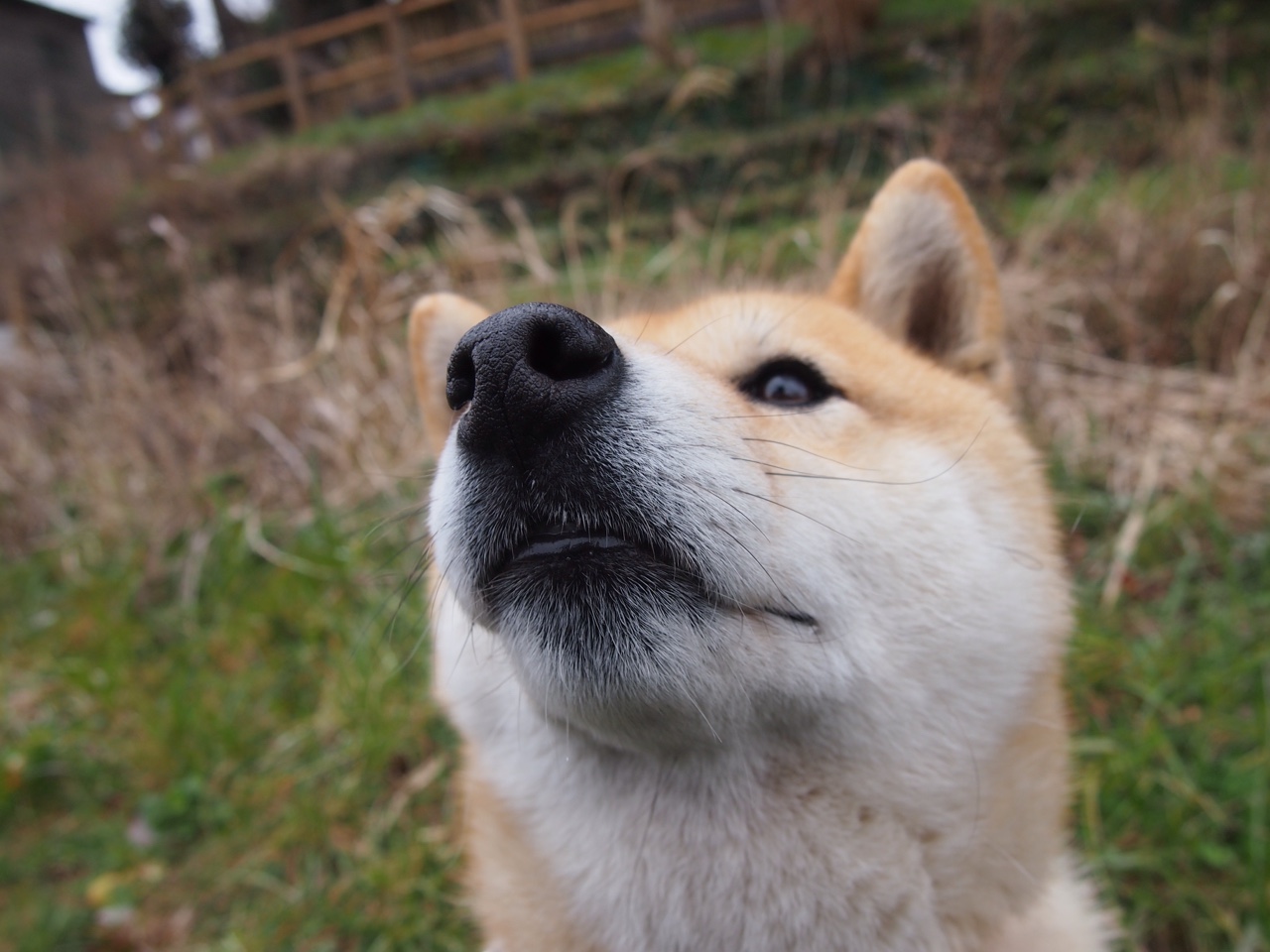 -同曦队球队防守强度持续提升，同曦队球员