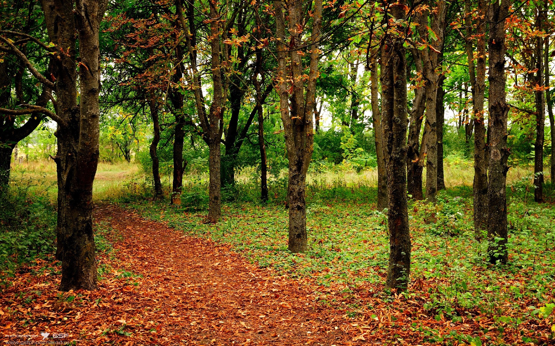 是否应推动球队参与本地教育投资，是否应推动球队参与本地教育投资工作