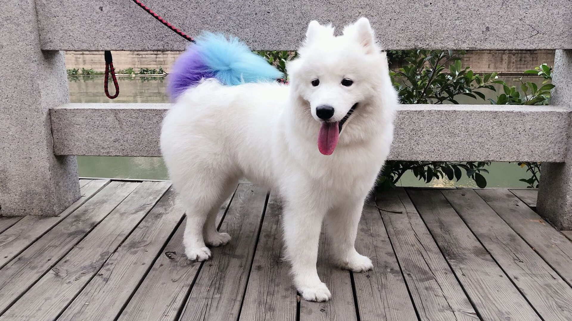 爱游戏体育APP下载-索肖队长领衔破门，助球队取得胜利，索肖什么意思