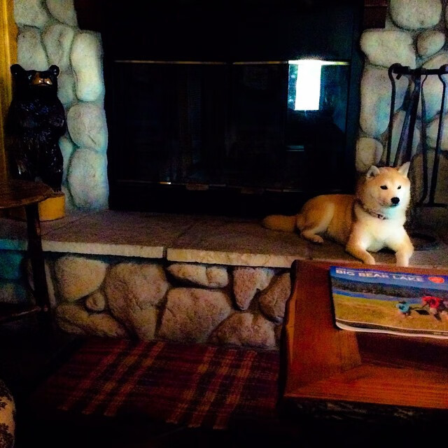 爱游戏登录入口-荷兰女足前锋破门得分，帮助球队晋级！，荷兰女足队员名单