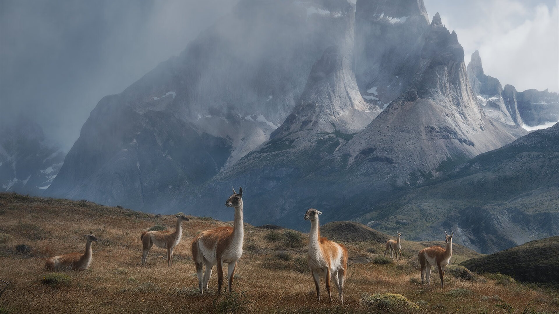 阿尔阿赫利比赛节奏掌控出色，阿尔阿赫利足球俱乐部