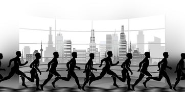 AYX体育-NBA球队赛事安全管理体系建设，nba球队管理系统数据库