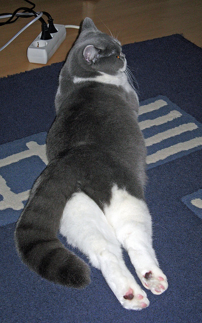 爱游戏中国官方网站平台-中超球员传球成功率排行，中超球员进球排行榜