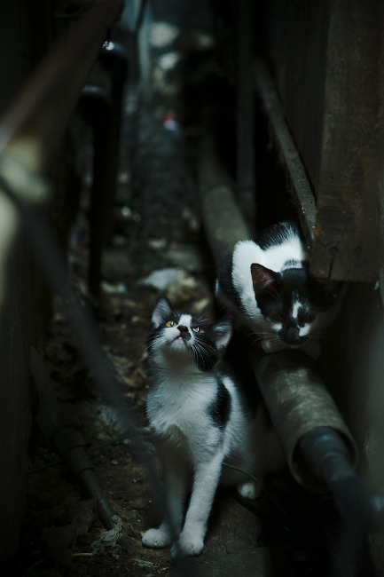 全国花式跳绳比赛小将创造新纪录,全国花样跳绳冠军叫什么名字