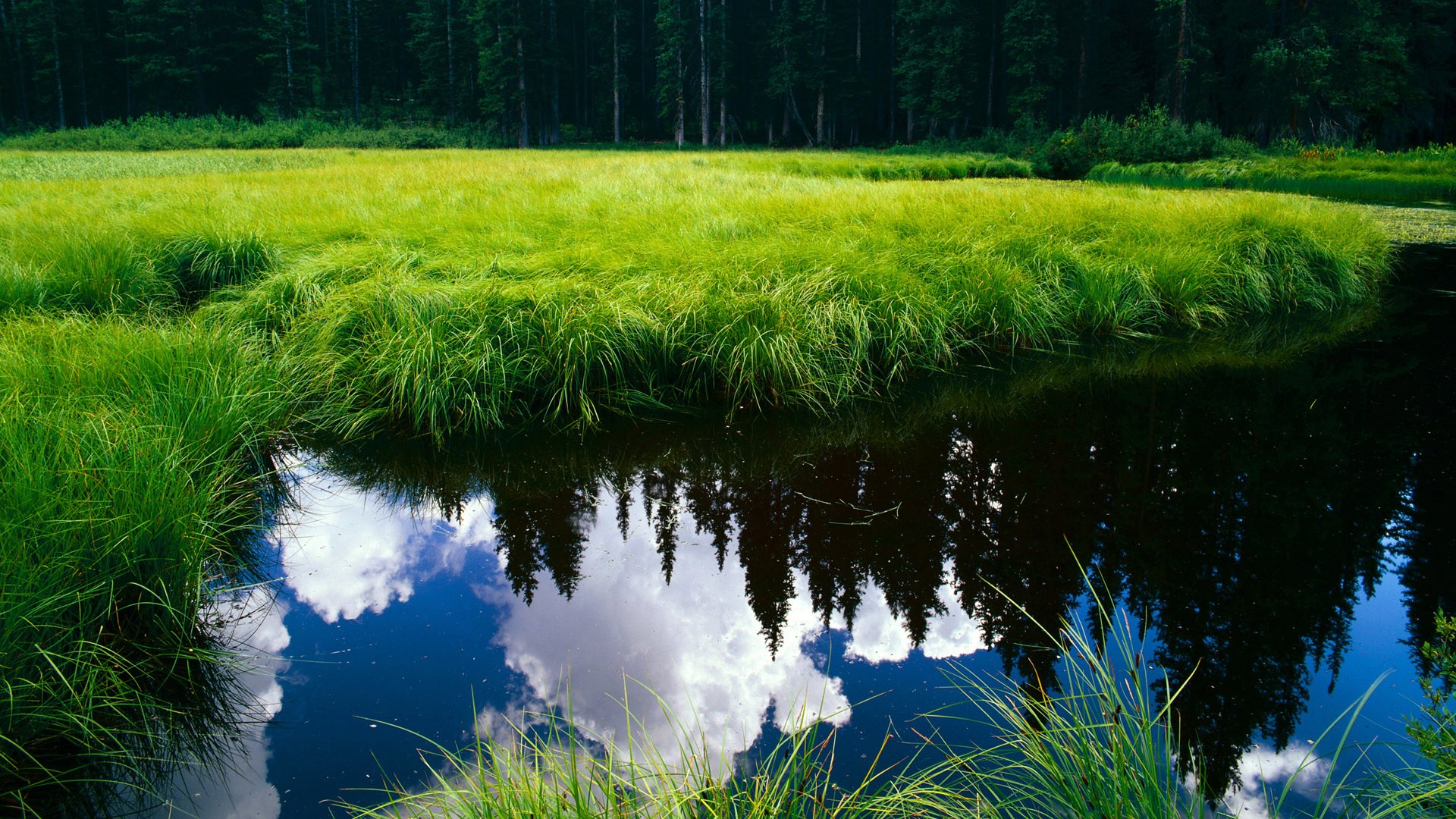 最佳中场：本赛季表现突出的核心球员盘点，【足球】最佳中场