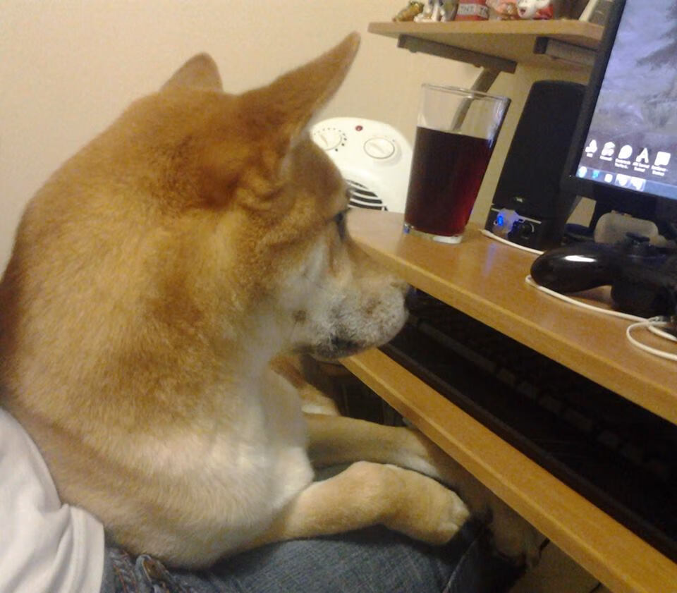 曼联边后卫助攻积极提升攻势层次,曼联边路球员