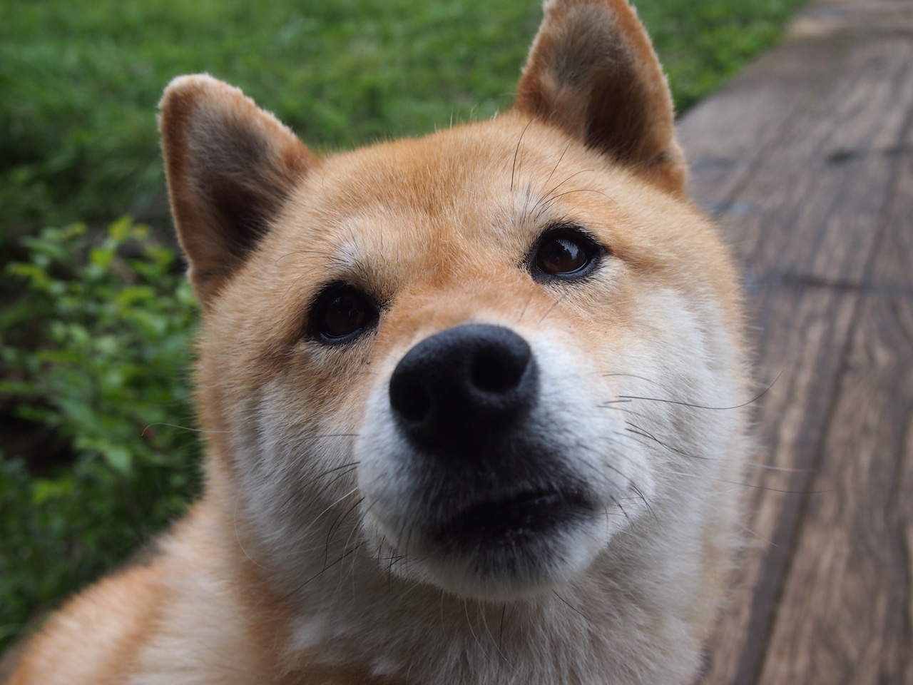 滑板公园城市联赛成都站圆满收官，2021滑板节成都在哪里