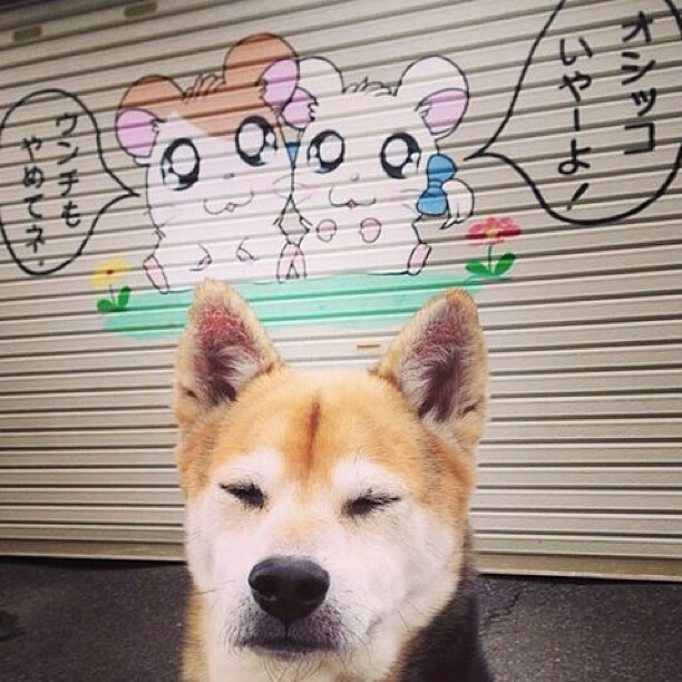 爱游戏在线登录入口-“马丁·高尔西的表现震撼橄榄球界，未来成就不凡”