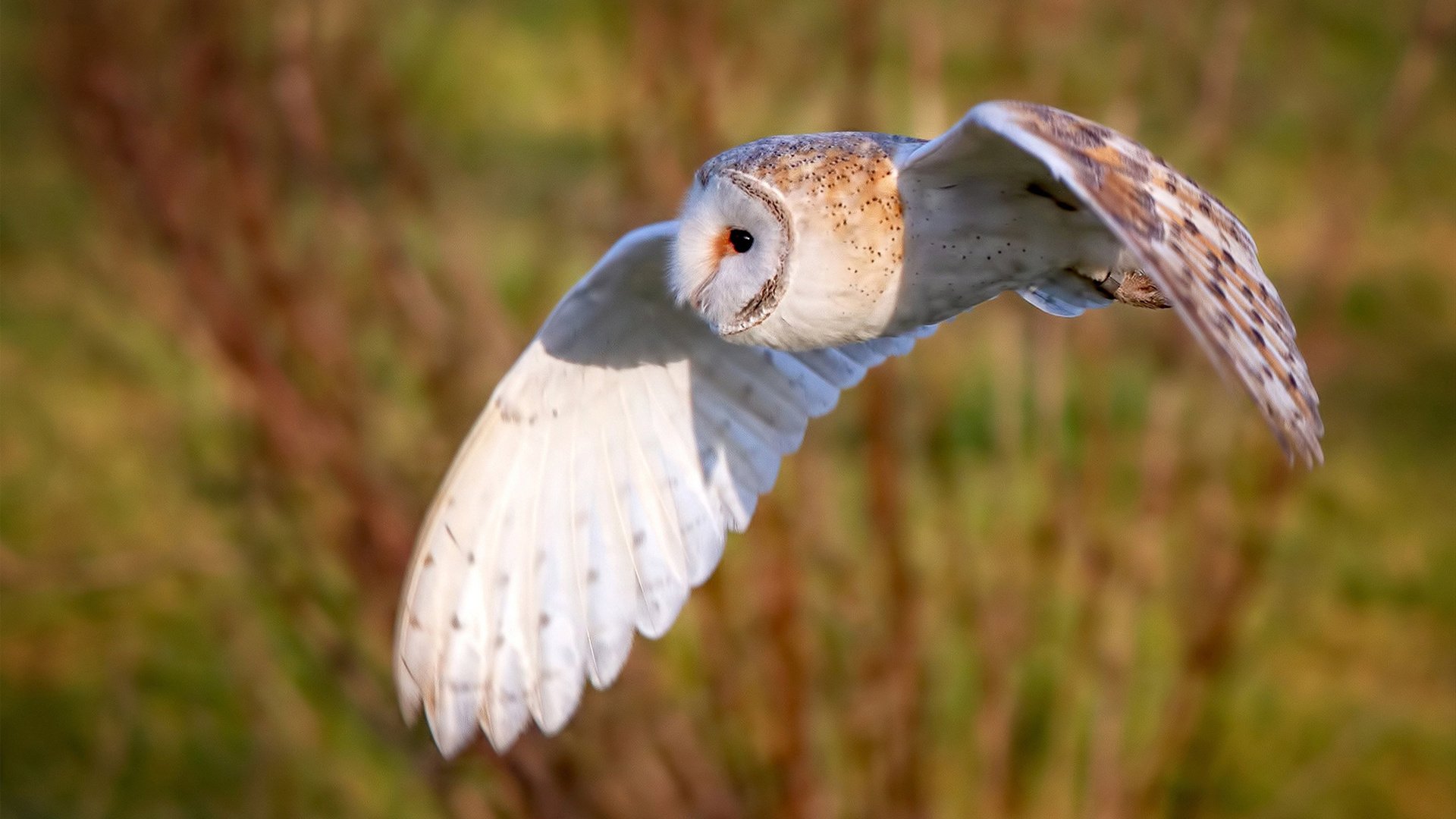 爱游戏体育app-体育公益活动 助力青少年健康成长，体育公益活动策划方案