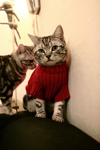 爱游戏体育APP下载-媒体联动提升赛事传播力，媒体联动式报道