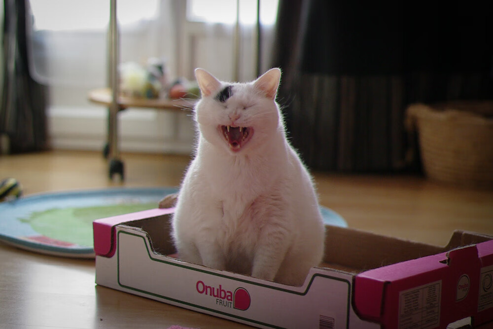 爱游戏中国官方登录入口网站-拜仁提前出线欧洲超级杯，拜仁夺得欧洲超级杯 新闻