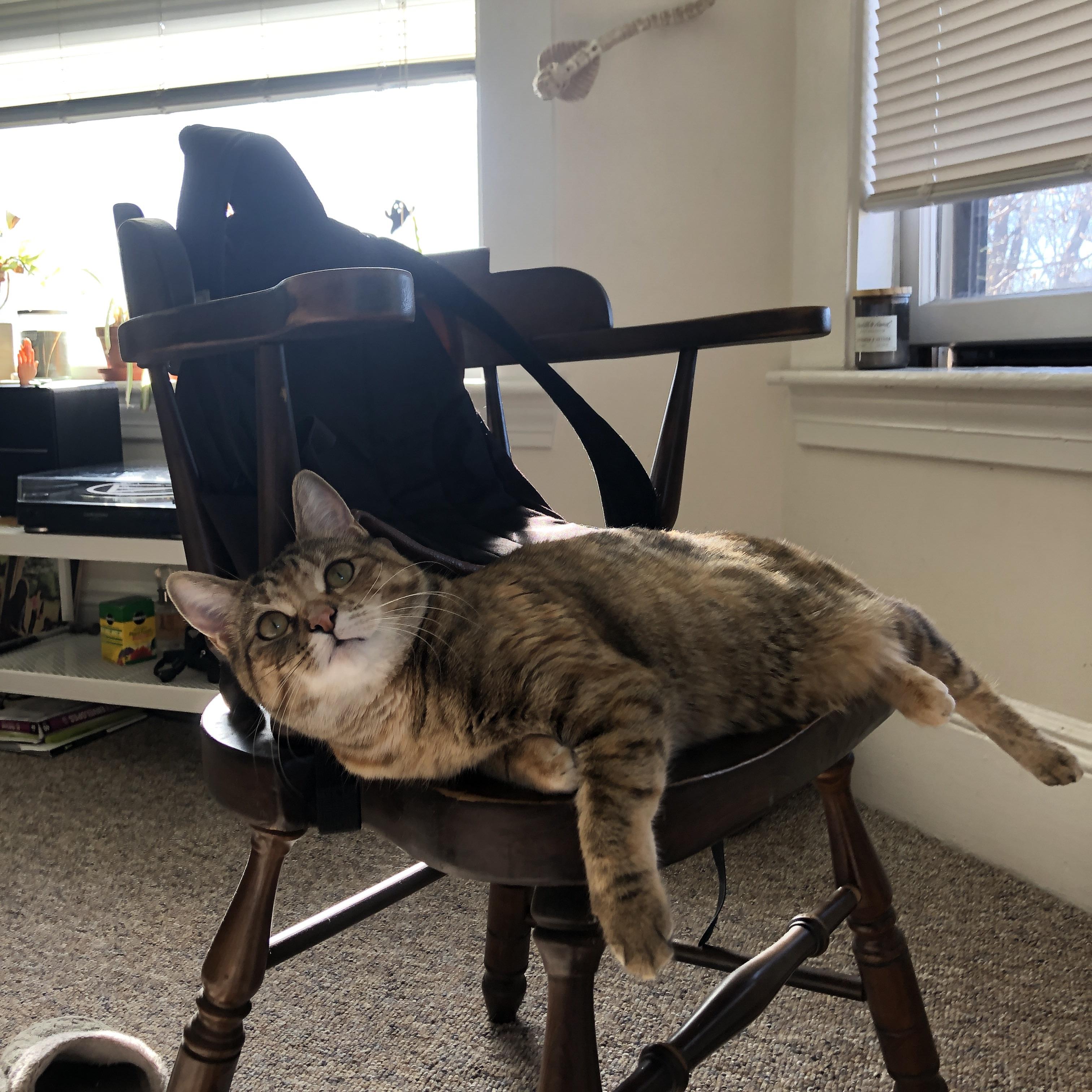 AYX体育官网-独行侠进攻端多点开花轻取对手，独行侠队控卫